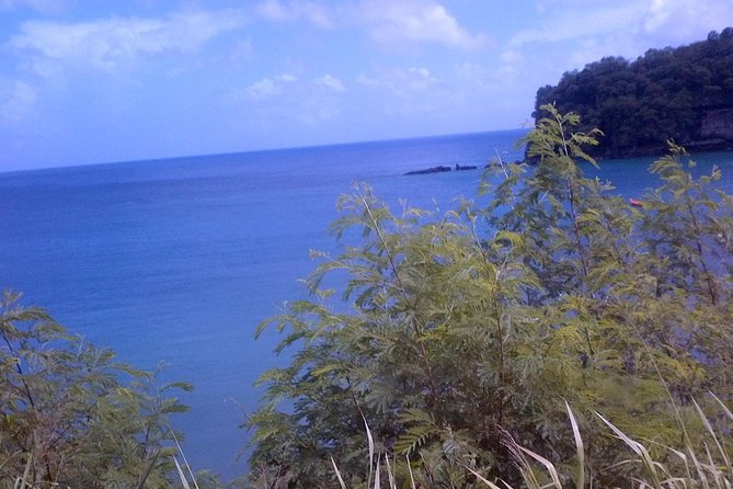 St. Lucia Tet Paul Nature Trail Tour - What the guides add to the walk
