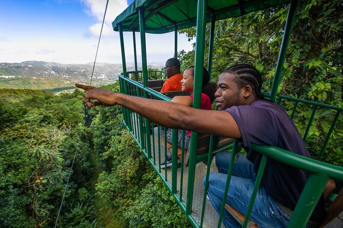 St Lucia Ultimate 3: Aerial Tram, Zipline and Hiking at Rainforest Adventures - Three rainforest experiences in one morning