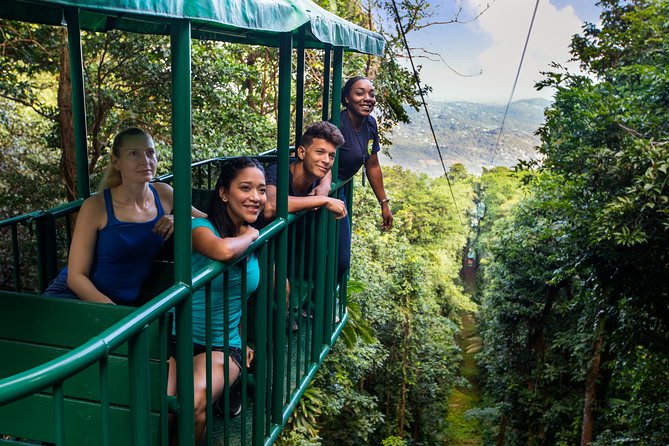 St Lucia Ultimate 3: Aerial Tram, Zipline and Hiking at Rainforest Adventures - The 40-minute aerial tram through St. Lucia’s rainforest