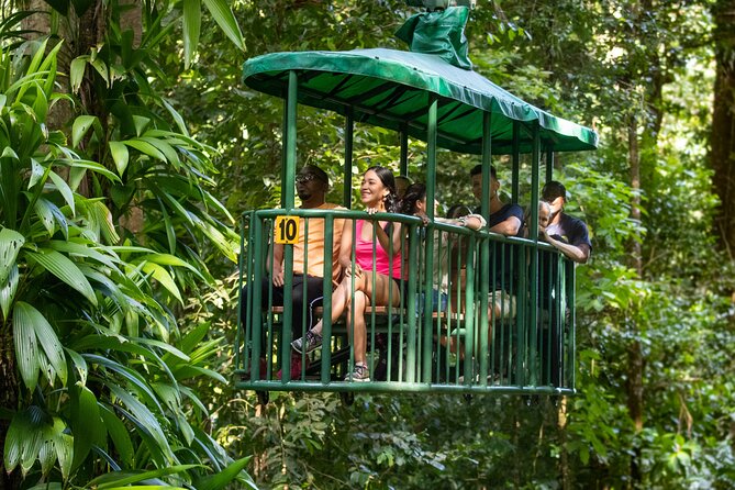 St Lucia Ultimate 3: Aerial Tram, Zipline and Hiking at Rainforest Adventures - The walk to the zipline course