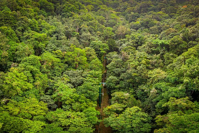 St Lucia Ultimate 3: Aerial Tram, Zipline and Hiking at Rainforest Adventures - Refreshments, photos, and the end of the outing