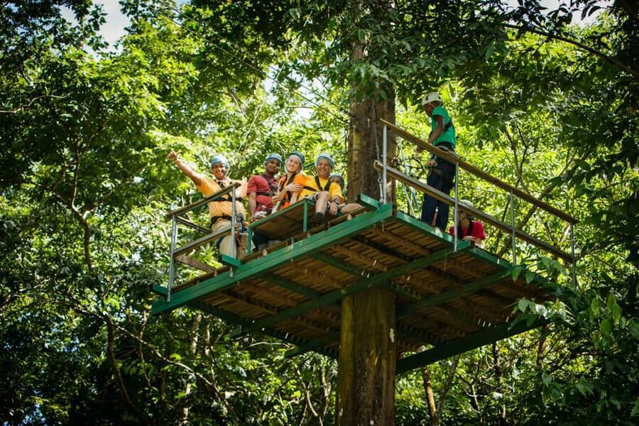 St Lucia Ultimate 3 Package: Aerial Tram Zip Line & Hiking - Three ways to see St. Lucia’s rainforest
