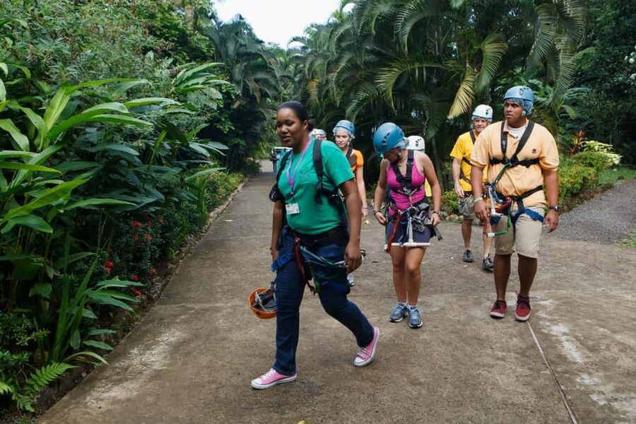 St Lucia Ultimate 3 Package: Aerial Tram Zip Line & Hiking - The short hike connects forest and canopy