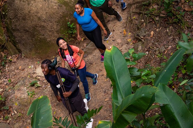 St Lucia Ultimate 3 Package: Aerial Tram, Zipline and Hiking - The Nature Trail Shows You What the Tram Misses