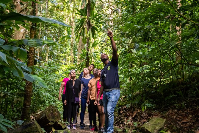 St Lucia Ultimate 3 Package: Aerial Tram, Zipline and Hiking - Guides, Safety, and Group Size