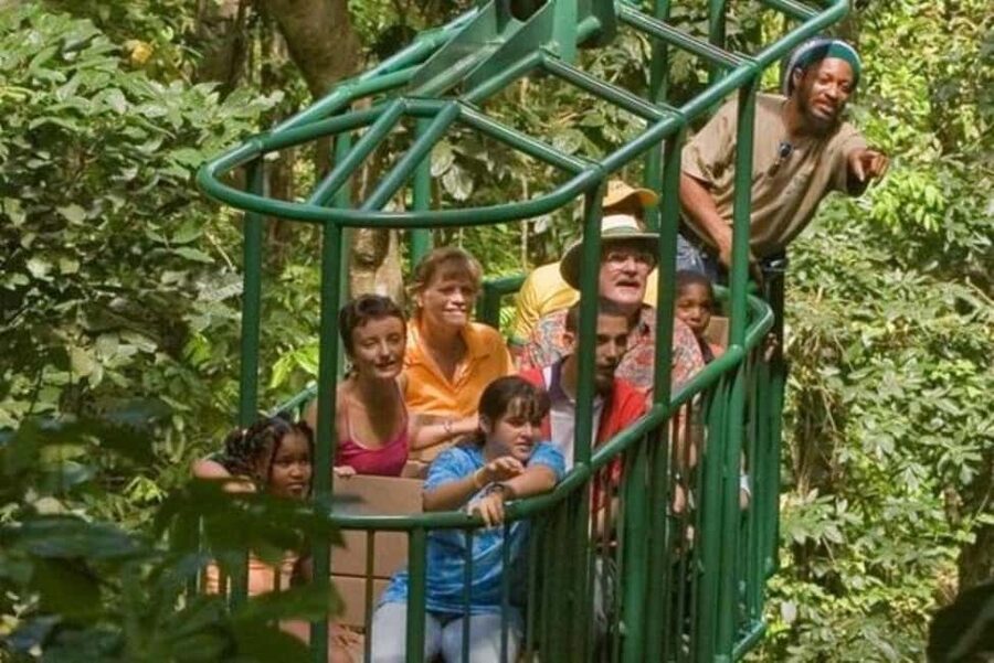 St. Lucia: Zip Line, Aerial Tram, and Hiking Tour - Three ways to see St. Lucia’s rainforest