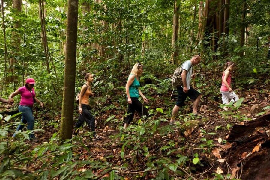 St. Lucia: Zip Line, Aerial Tram, and Hiking Tour - Ten zip lines above the trees