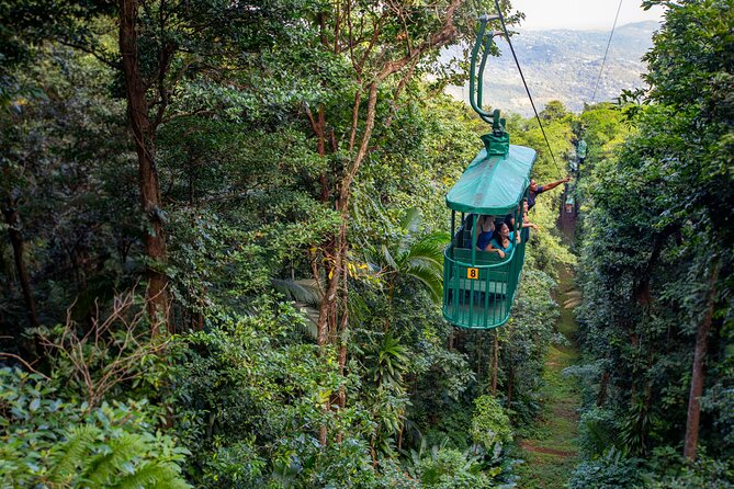 St. Lucia Zip line, Aerial Tram and Hiking tour Ultimate 3 - Key points to know before you book