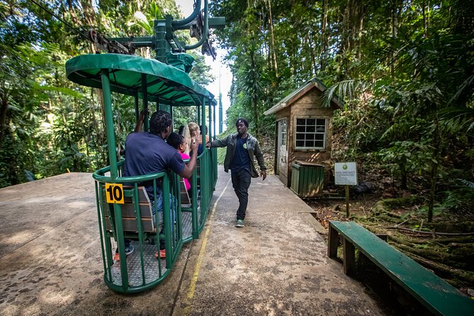St. Lucia Zip line, Aerial Tram and Hiking tour Ultimate 3 - Three rainforest experiences in one morning