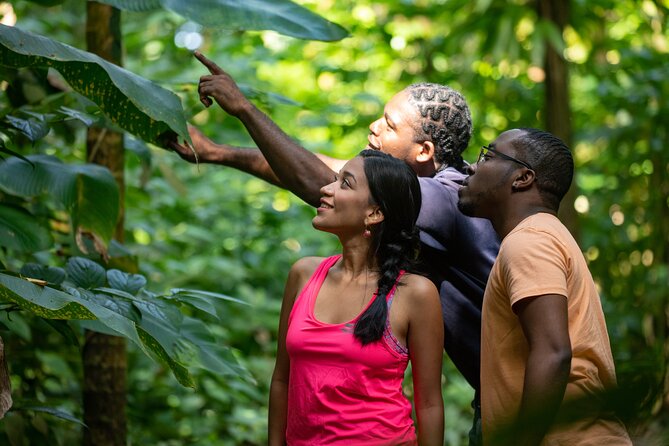 St. Lucia Zip line, Aerial Tram and Hiking tour Ultimate 3 - A slow aerial tram ride to the top station