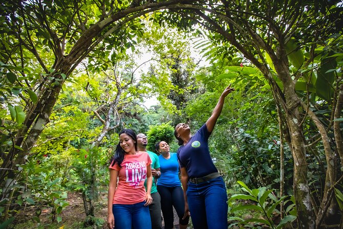 St. Lucia Zip line, Aerial Tram and Hiking tour Ultimate 3 - The 20-minute walk to the canopy start