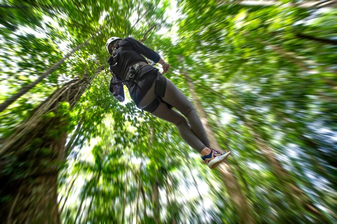 St. Lucia Zip line, Aerial Tram and Hiking tour Ultimate 3 - The second tram ride and northern St. Lucia views