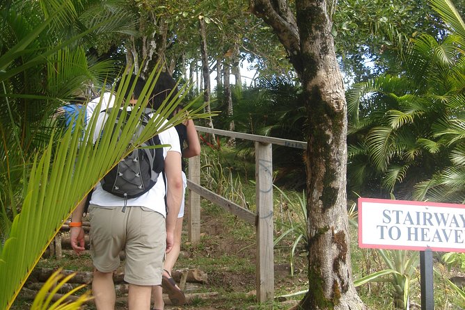 The Best of Saint Lucia Tour - Why this tour works for a first look at St. Lucia