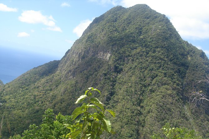 The Best of Saint Lucia Tour - Sulphur Springs and the drive-in volcano