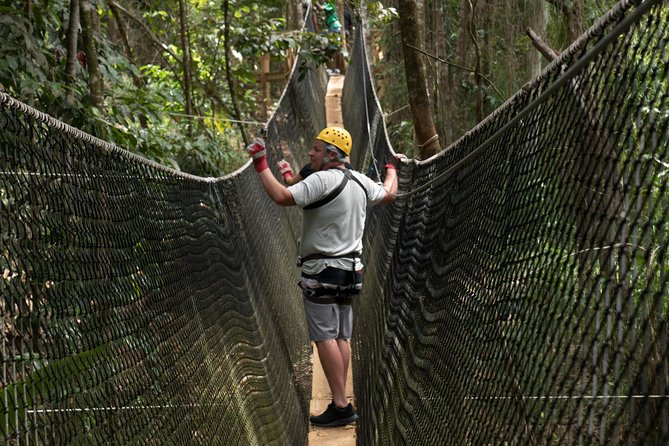 Treetop Adventure Park Canopy Tour - Key points to know before booking