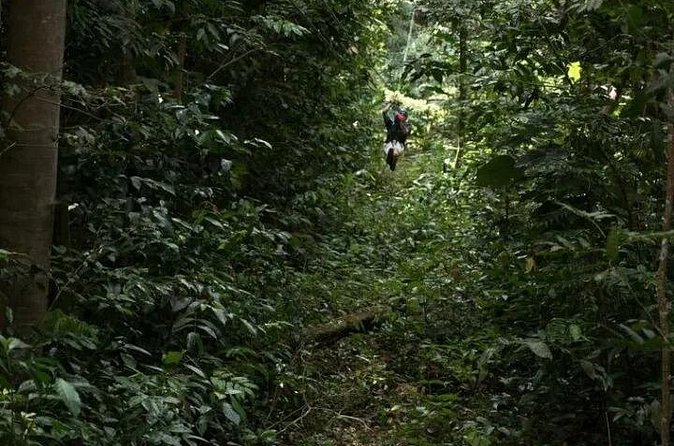 Treetop Adventure Park Canopy Tour - Who will enjoy this most?