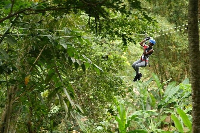 Treetop Adventure Park Canopy Tour - Twelve ziplines through St. Lucia’s trees