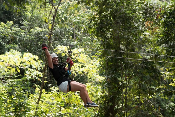 Treetop Canopy Adventure - The rainforest views between each ride
