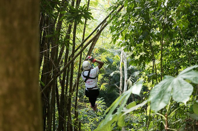 Treetop Canopy Adventure - The practical side of pickup and group size
