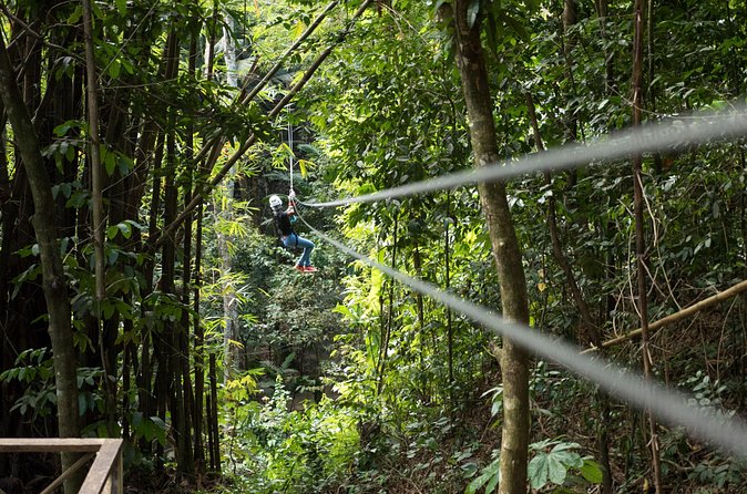 Treetop Canopy Adventure - Is the $92.31 price fair?