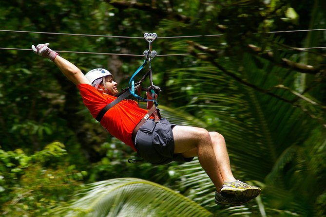 Treetop Canopy Adventure - Why the long and high lines matter