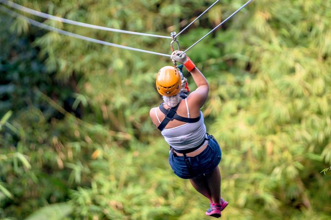 Treetop Zipline Experience From Castries - The safety briefing comes before the first cable
