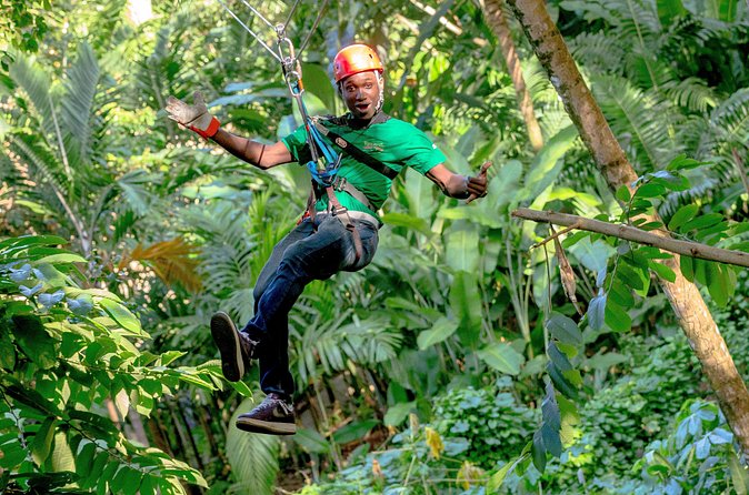 Treetop Zipline Experience From Castries - Refreshments turn the finish into a proper pause