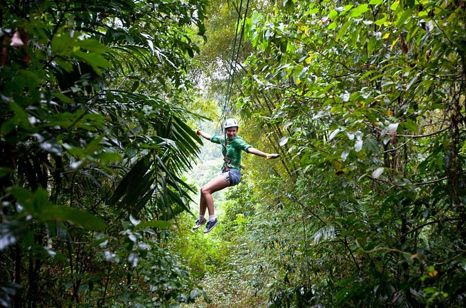 Treetop Zipline Experience From Castries - The $121.60 price: convenient, but not a budget outing