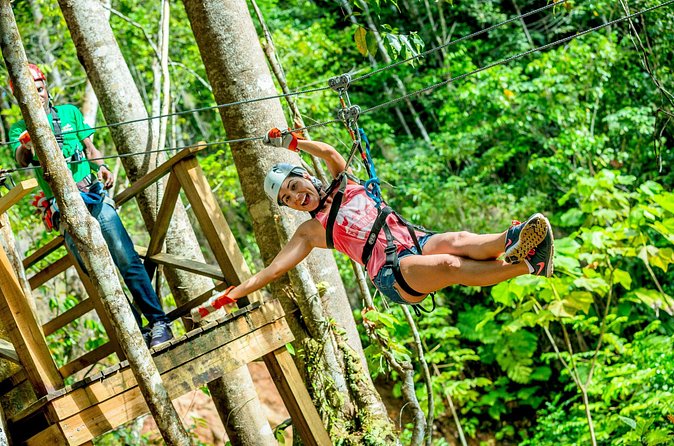 Treetop Zipline Experience From Castries - Who should book this rainforest ride