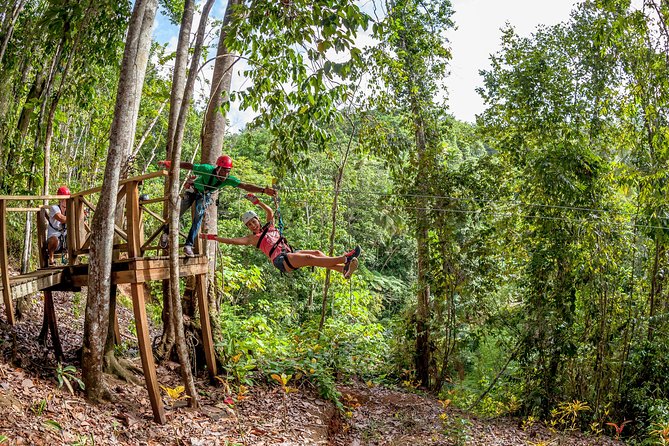 Treetop Zipline Experience From Castries - Twelve lines, from short practice to big rainforest runs
