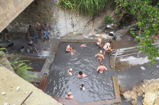 Volcanic Tour and Botanical Gardens - What the private service adds