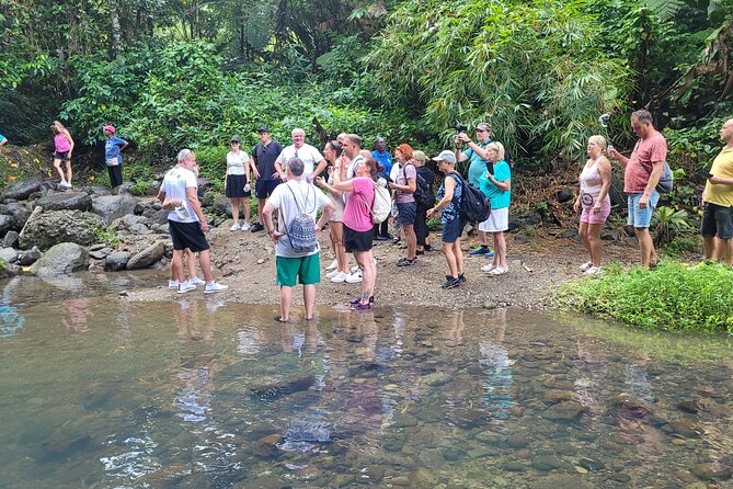 Waterfall and Beach Safari in Santa Lucia - A natural pool offers the day’s best cool-down