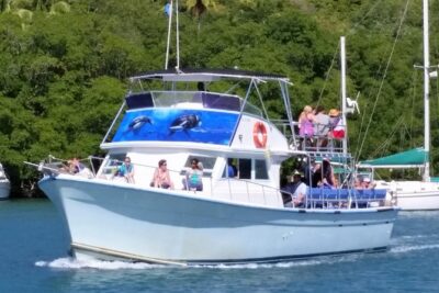 Whale and Dolphin Watching Cruise in St Lucia