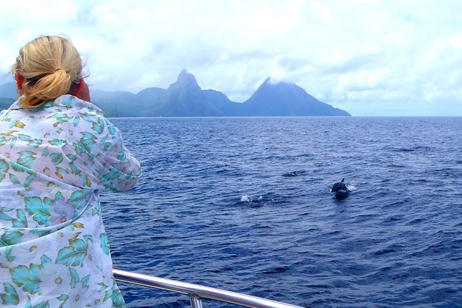 Whale and Dolphin Watching Cruise in St Lucia - Views of St Lucia from the water