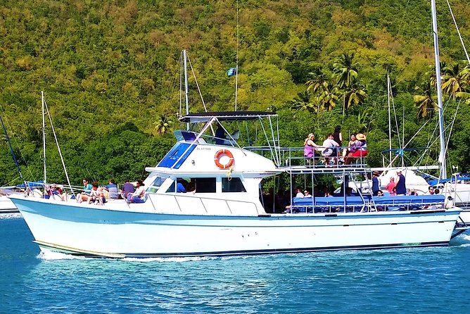 Whale and Dolphin Watching Cruise in St Lucia - How much value do you get for $65?