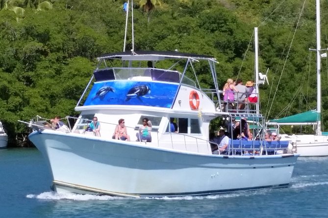 Whale and Dolphin Watching Cruise in St Lucia - Searching the waters around St Lucia