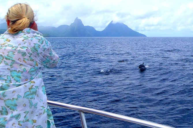 Whale Watching and Dolphin Spotting Cruise - Leaving Choc at 8:00 in the Morning