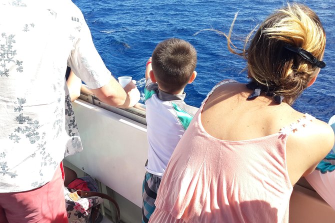 Whale Watching and Dolphin Spotting Cruise - The Crew Makes or Breaks the Morning